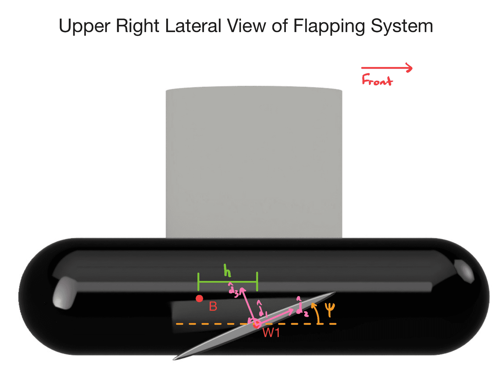 Figure 3: Free-body diagram of the flapping system with aerodynamic loading distributed along the wing.